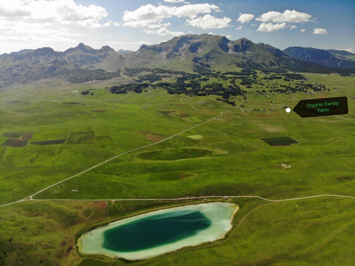 Organic Family Farm Hotel Zabljak  Luaran gambar