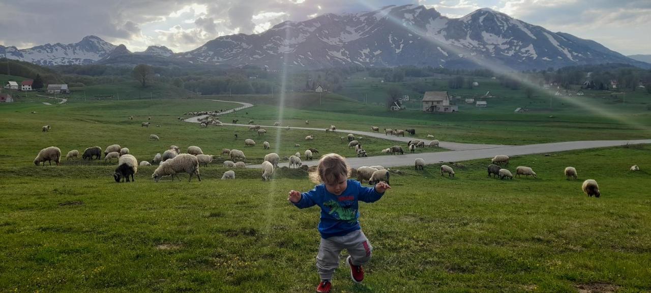 Organic Family Farm Hotel Zabljak  Luaran gambar