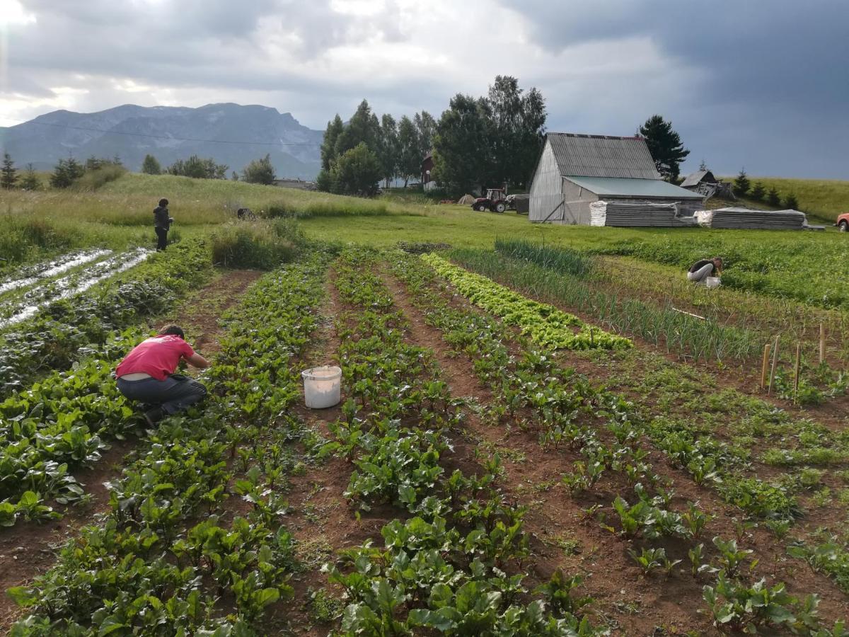 Organic Family Farm Hotel Zabljak  Luaran gambar