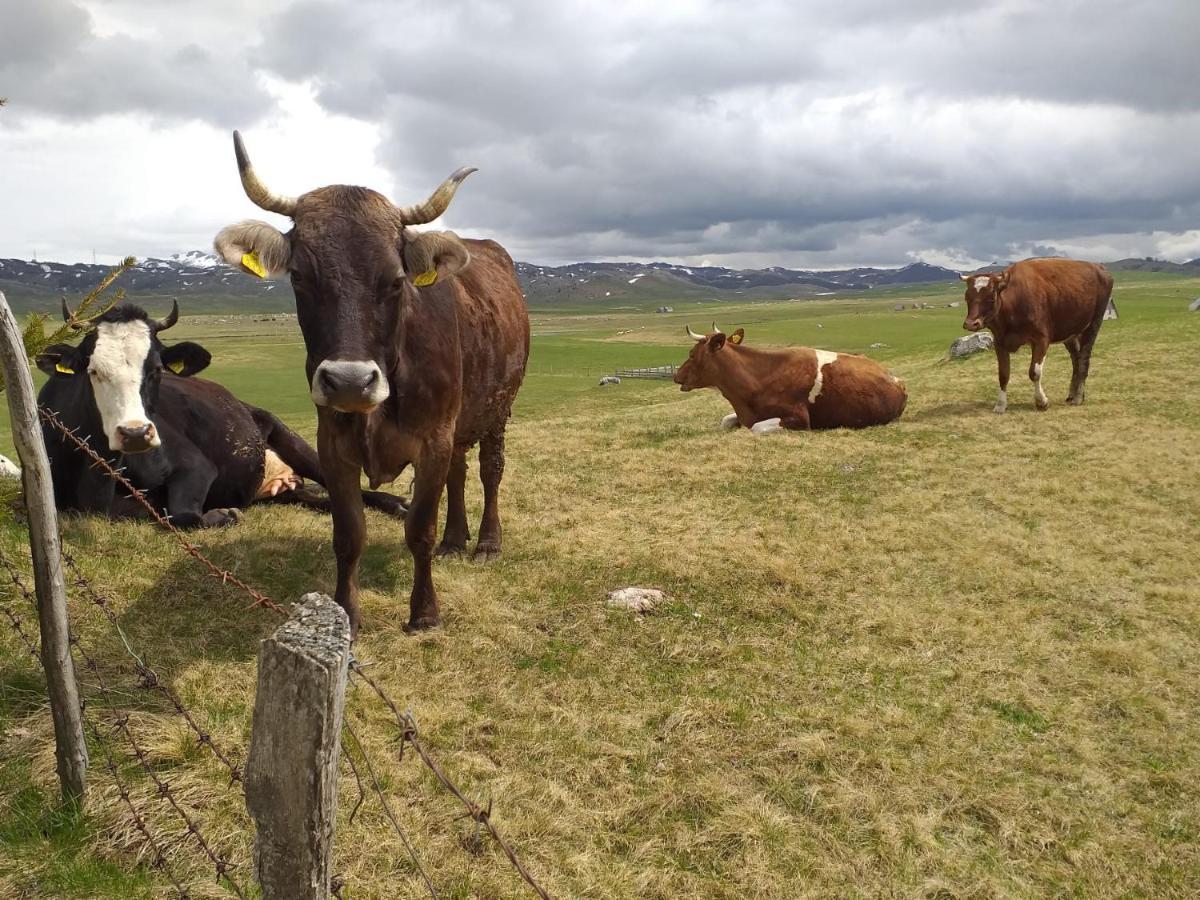 Organic Family Farm Hotel Zabljak  Luaran gambar