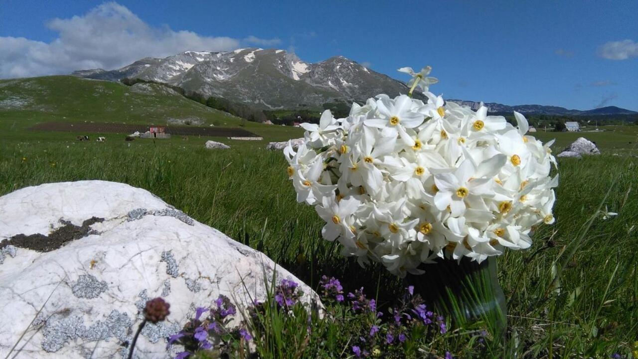 Organic Family Farm Hotel Zabljak  Luaran gambar